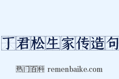 丁君松生家传造句是什么意思的图片